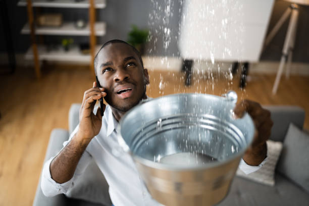 Best Flood restoration services  in Bermuda Run, NC