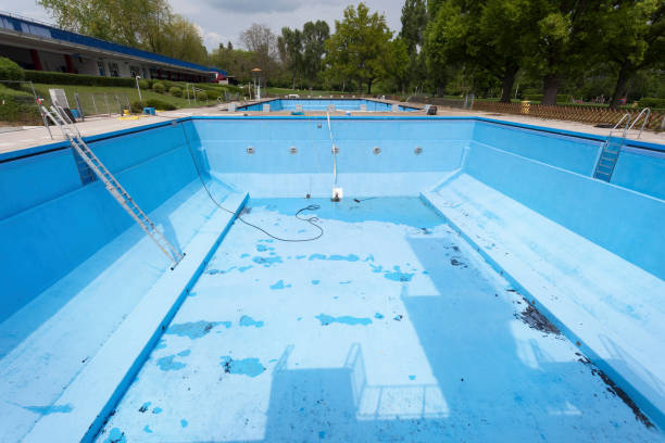 Best Mold removal after water damage  in Bermuda Run, NC