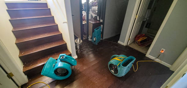 Best Flood damage cleanup  in Bermuda Run, NC