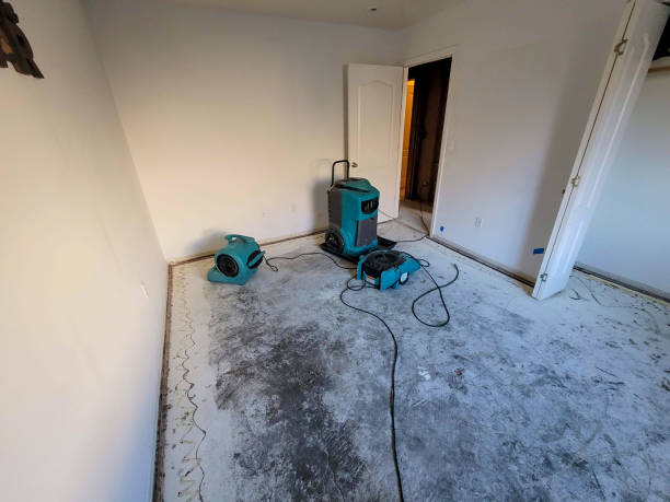 Water damage restoration insurance claims in Bermuda Run, NC