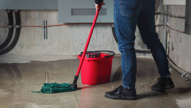Best Water damage cleanup near me  in Bermuda Run, NC