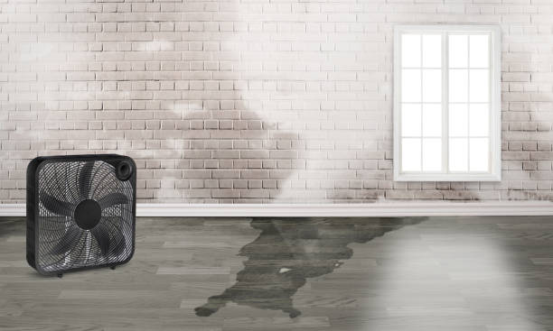 Carpet water damage restoration in Bermuda Run, NC