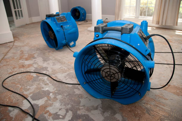Water damage restoration mold remediation in Bermuda Run, NC