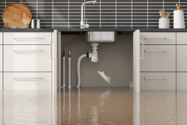 Best 24-hour water damage restoration  in Bermuda Run, NC